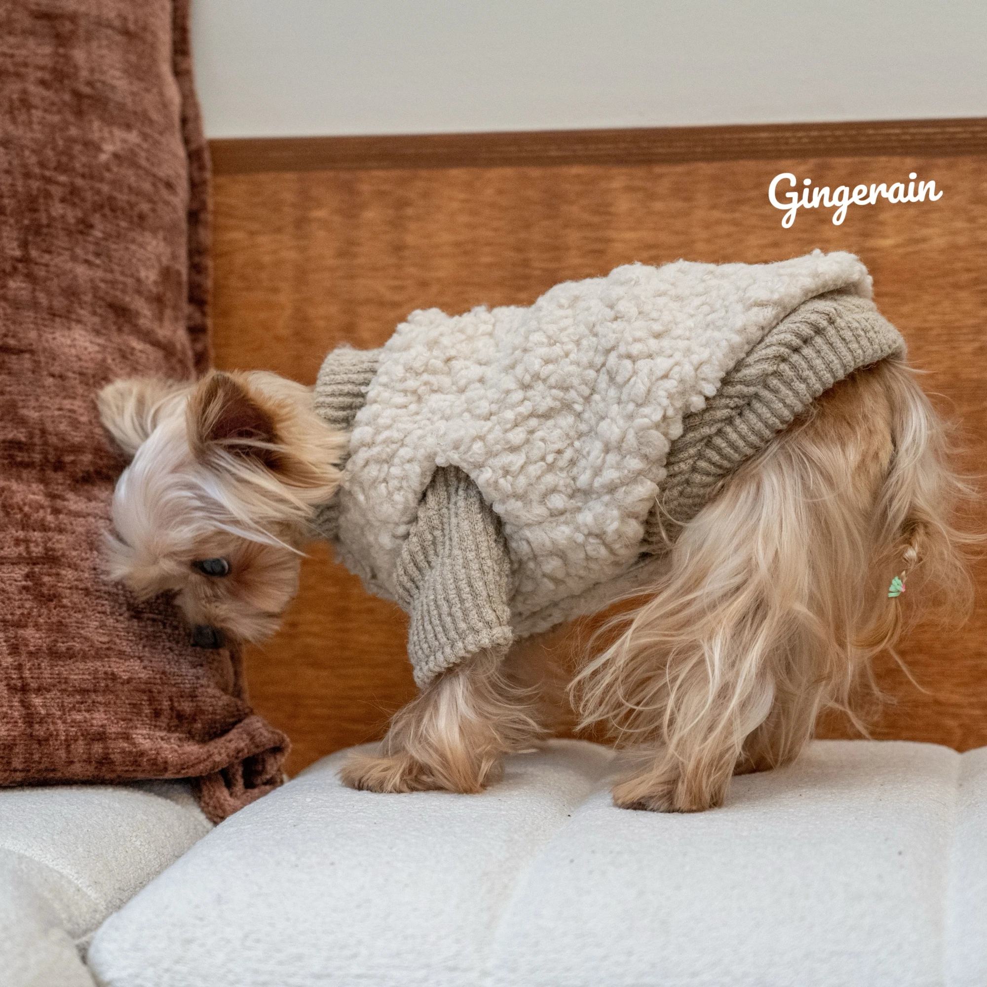犬のお散歩グッズをコスパ良く揃える方法｜羊羔絨保温ベストの実測ガイド