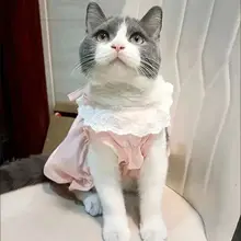猫用チュニック風パンプキンスカート【春秋用・薄手・抜け毛防止・ペットウェア・青白】