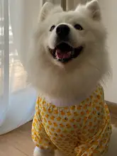 犬用肘保護服【サモエド・ラブラドール向け・防汚・外出用】