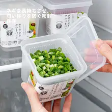 食品用青ネギ保存ボックス【水切り機能付き・冷蔵庫用・収納便利】