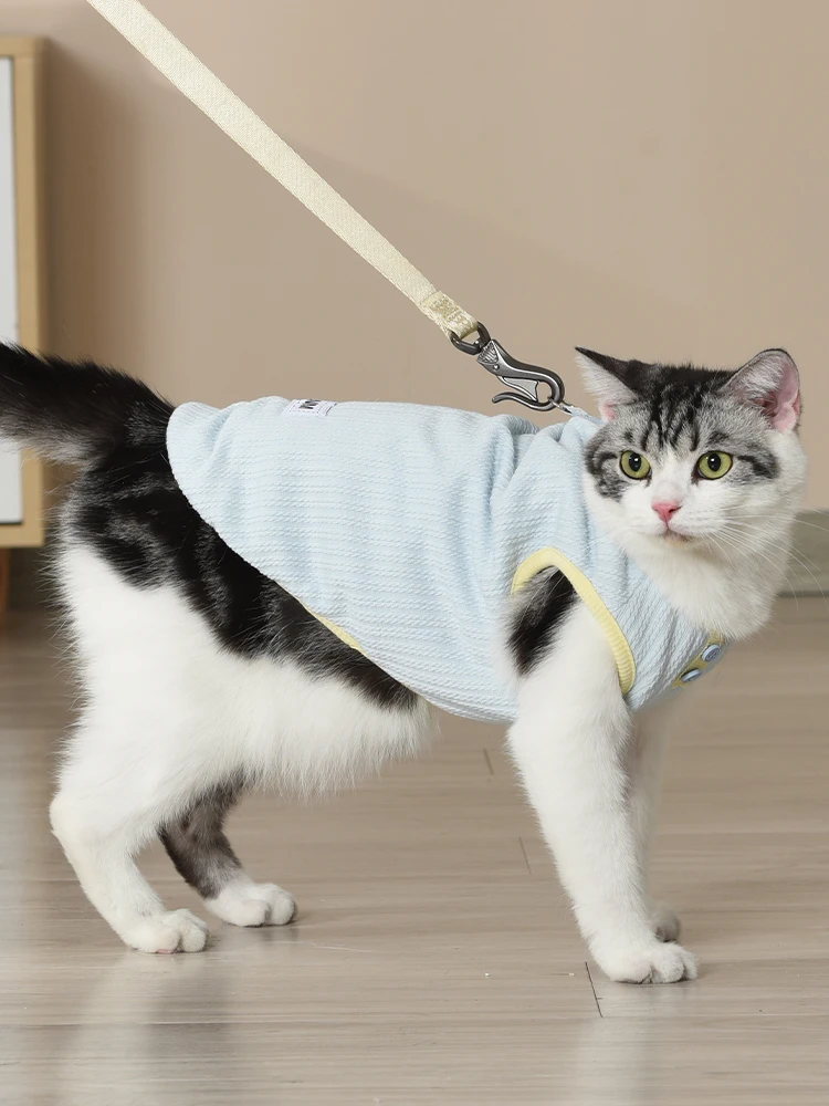 猫飼いが買ってよかったもの・悪かったもの正直に言う | 秋冬用猫用防脱毛ニットセーターの実際の効果