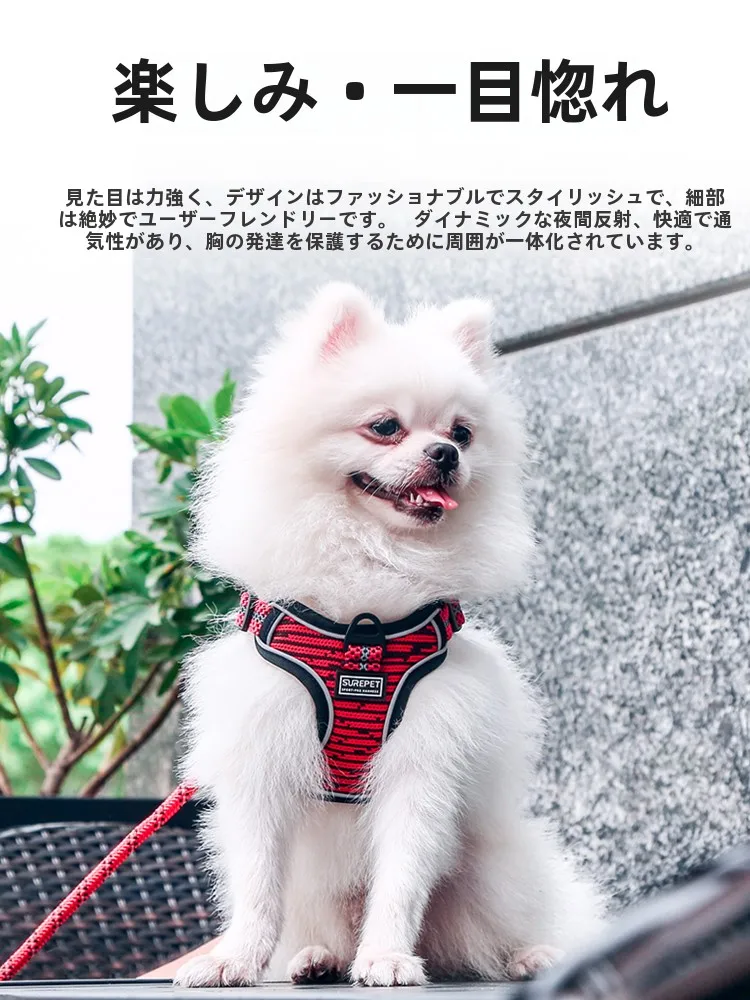 犬のお散歩グッズをコスパ良く揃える方法｜胸部ハーネスの実用性と選び方の完全ガイド