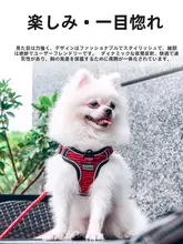 犬用胸部ハーネス付きリード【トイプードル・コーギー・フレンチブルドッグ対応・小型・中型犬用】