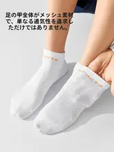 抗菌防臭の純綿短襪【夏用・薄手・男性・スポーツ】