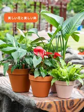 屋外用プラスチック製エレガントな植木鉢【大口径・耐衝撃・クリエイティブデザイン】