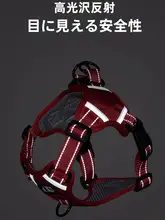 中大型犬用ハーネス式リード【防爆デザイン・金毛・ラブラドール対応】
