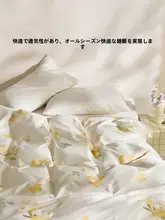 掛け布団カバー 綿100% コットン 肌触り良い 通気性 吸湿性 シングル ダブル 「LOVO」