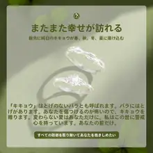 桔梗花デザインのカップルリング【純銀製・誕生日プレゼントに最適】（セットアップ対応）
