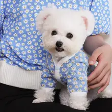 秋冬用犬用コート【暖かさ・毛が抜けにくい・高いデザイン性・小型犬対応】