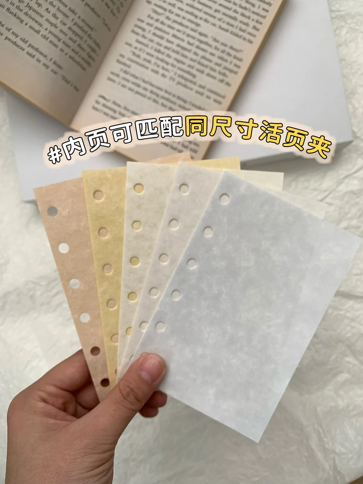A4リフィル2ポケット無印と比べて、A6サイズハガキサイズの活用はどこが違うの？
