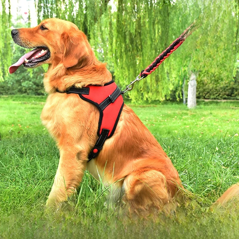 犬のお散歩グッズをコスパ良く揃える方法 - 愛犬用ハーネス型リードの定義とサイズ選定
