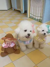 可愛いチェック柄のウサギフード付きペット用ケープ【猫・犬用・飾り付き】