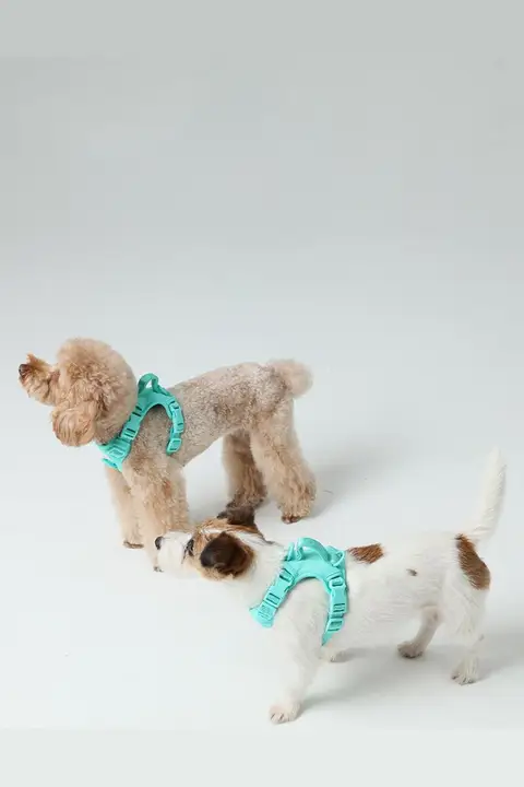 犬用ハーネス【メッシュ式・コーギー・柴犬対応・薄荷緑】
