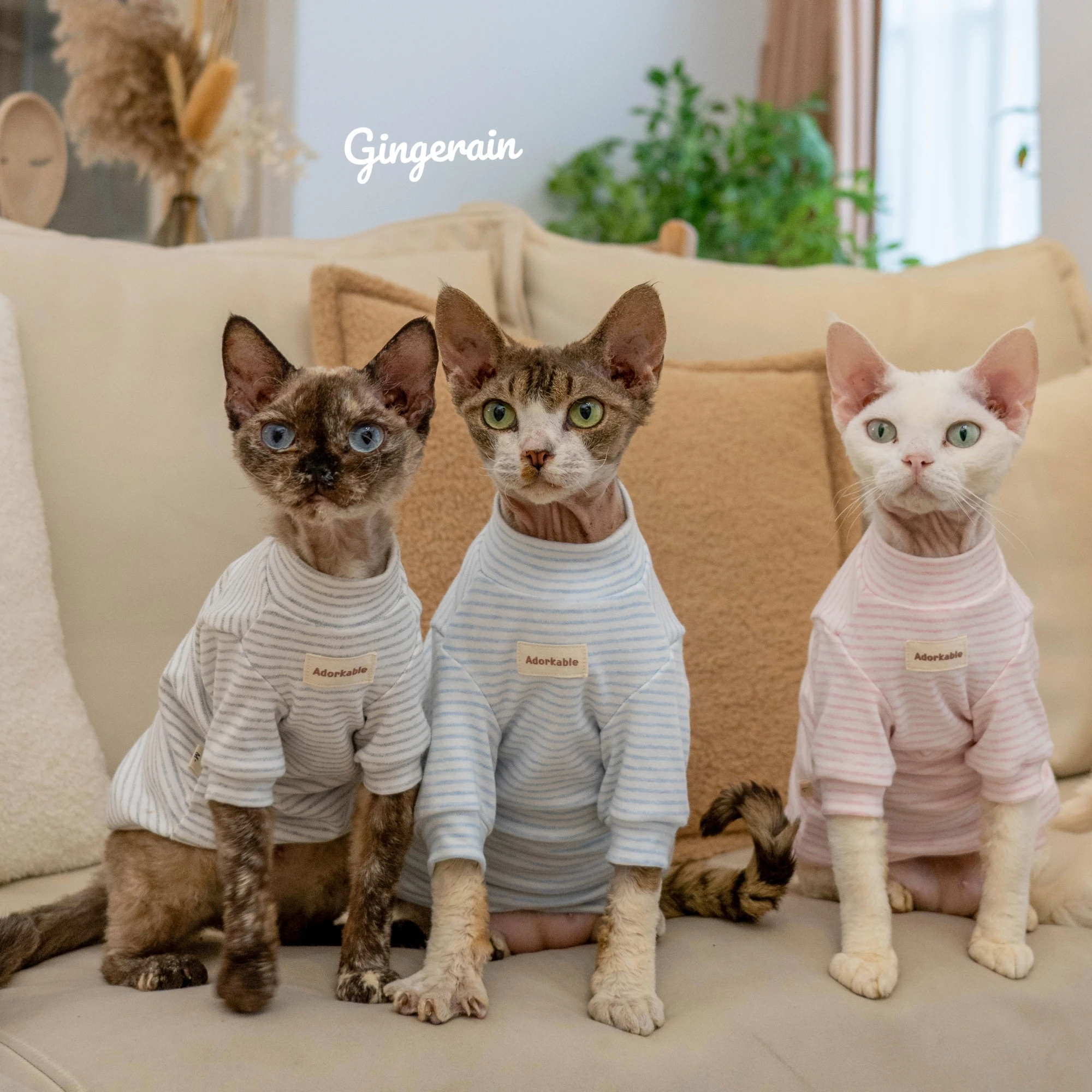 GINGERAIN オーガニックコットン ベビーロンパース：無毛猫向けの長袖カラフルタイプの機能性と使い勝手
