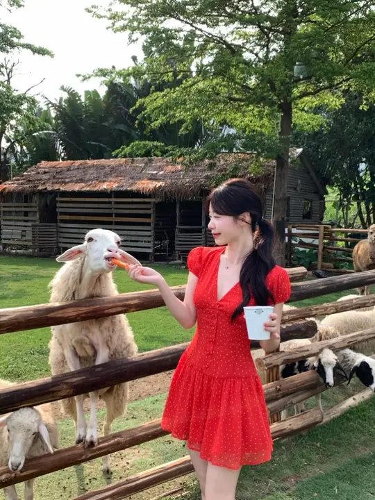 赤の薄手ワンピース【ウエスト細見え・ドット柄・夏用】（セットアップ対応）