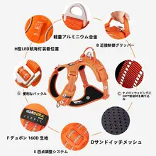 犬用ハーネス付きリード【小型犬から大型犬対応】