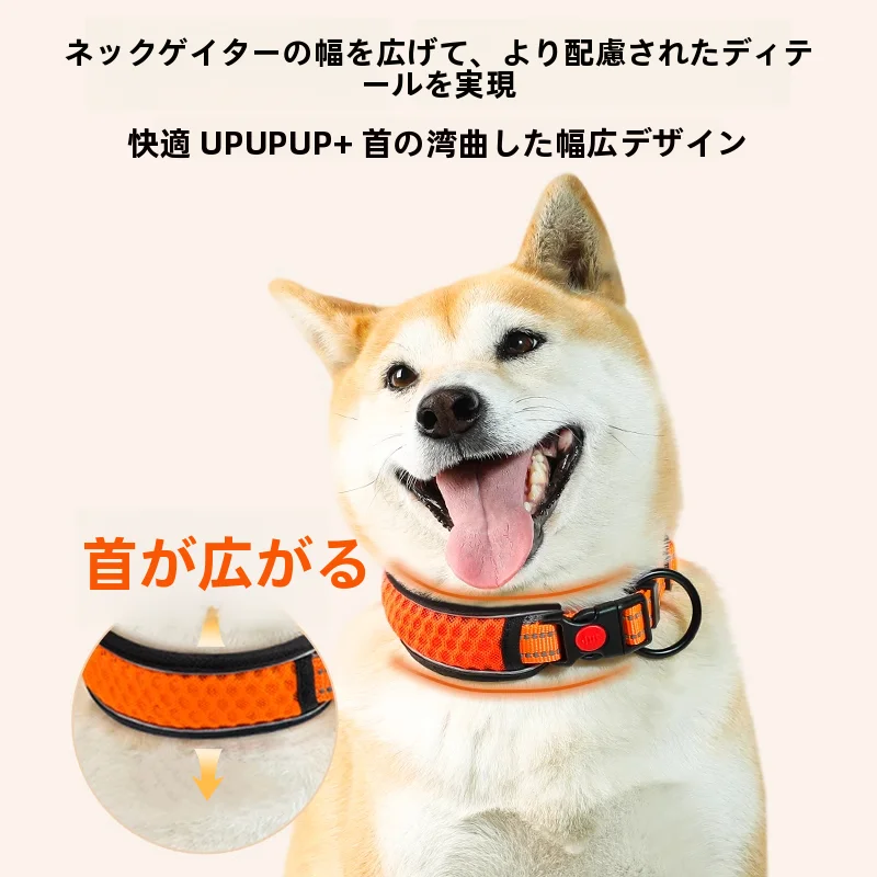 中型犬用 ペットカラー【ラブラドール・ゴールデンレトリバー・ボーダーコリー対応・リード付き】