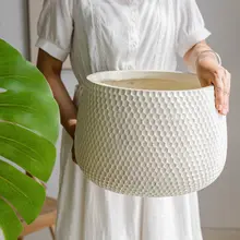 北欧風のグリーンインテリア！シンプルなデザインの観葉植物用花鉢【モンステラ・サンセベリア・バirdオブパラダイス対応】