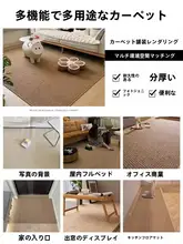 カーペット リビング/寝室/撮影スタジオ ソファ/ベッドサイド/飘窓/猫抓板 用途 麻素材 2024年新作