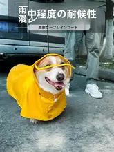 ペット用雨具【透明・小型犬向け・夏季用・テディ・柴犬・コーギー対応】