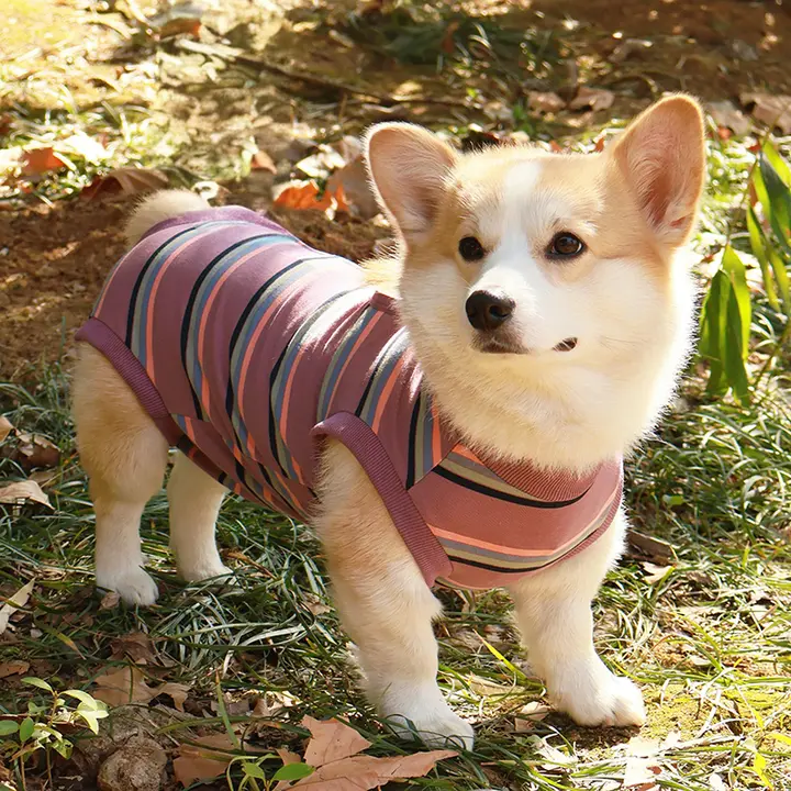 柴犬とコーギー用 犬服【手術後・防舔・全身カバー・寝具として最適】