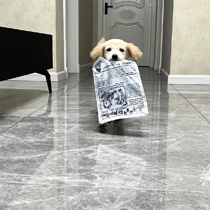 犬用発声おもちゃ：紙の質感と癒し機能が実証されたインタラクティブなペットケアアイテム