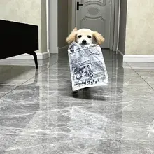 犬用発声おもちゃ【紙の質感・癒し・お口のケア・インタラクティブ】