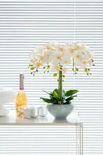 リアルな質感の胡蝶蘭造花【リビング＆ダイニング用・インテリア装飾】