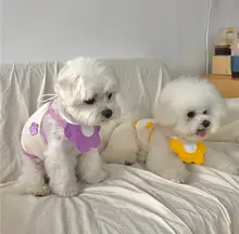 ペット用 おしゃれな防水スカーフ【小型犬・猫用・かわいいデザイン】
