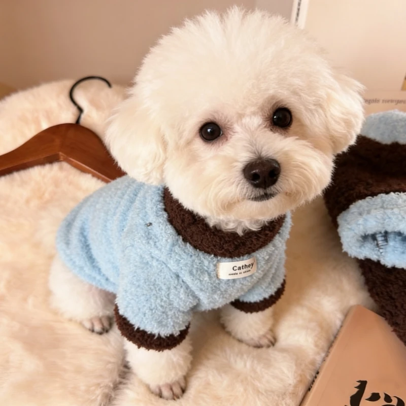 リバーシブル毛布素材の冬用ペット衣服：かわいい大型犬に最適な保温設計とは