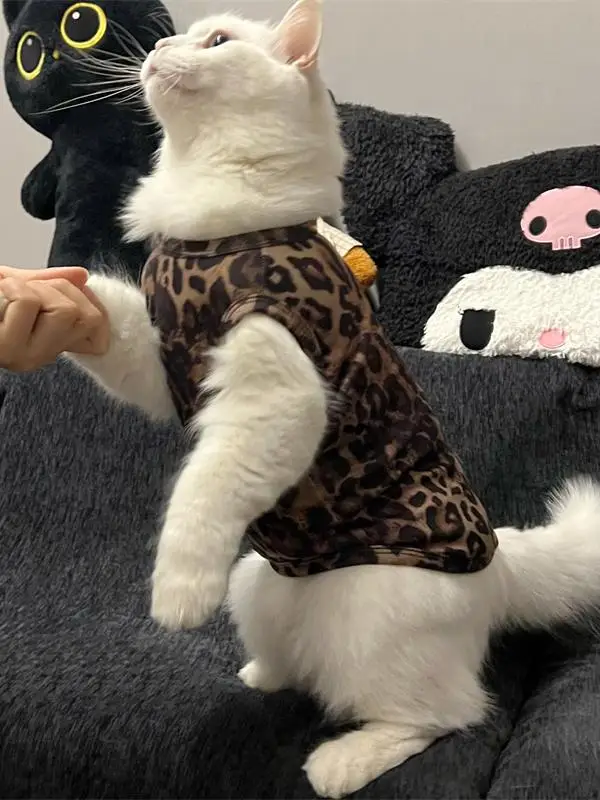 猫のtシャツを選ぶときに迷うなら、この1点が解決する！