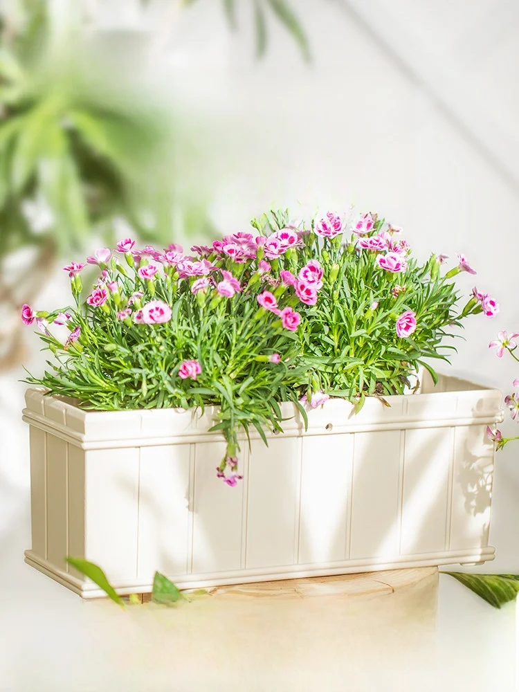 高級感ある長方形プラスチック花盆：ほったらかしで毎年咲く花を育てるための最適なプランター