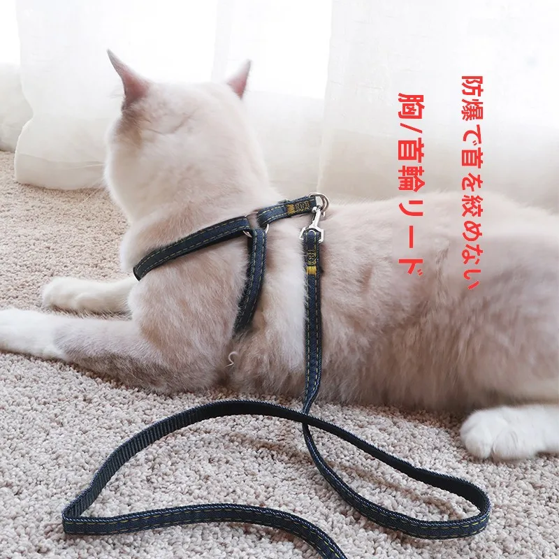 犬のお散歩グッズをコスパ良く揃える方法　失敗しない選び方の完全ガイド