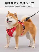 犬用ハーネス付きリード【中大型犬向け・柴犬対応・脱走防止】