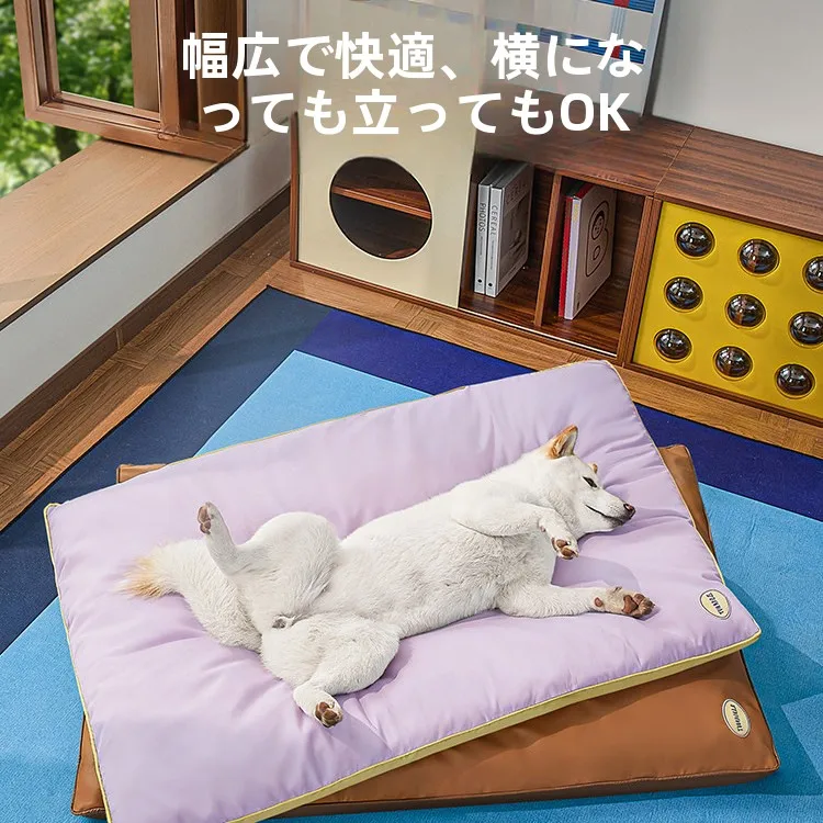 ペットと過ごすおうち時間を快適にするためのベッド、どう選ぶ？