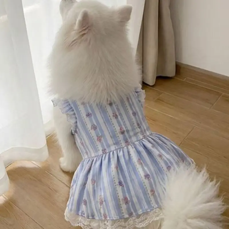 可愛いデザインの犬用ドレス：フリル付き格子柄が四季に適する日常スタイル