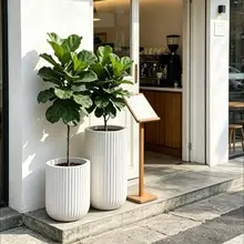 プランター 大型 リビング 樹木 懸濁土 深めの滑らか 薄い灰色 カーキ