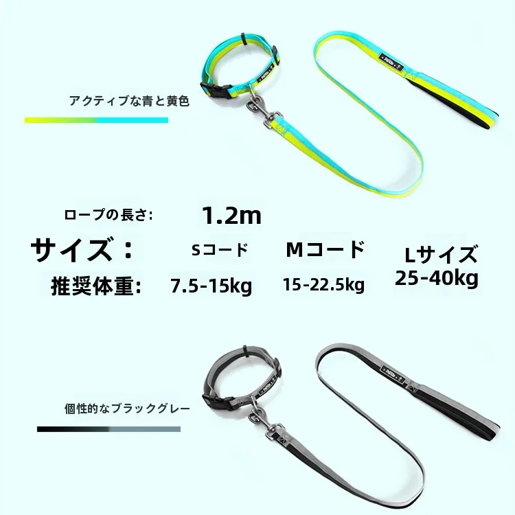 犬のお散歩グッズをコスパ良く揃える方法｜実測でわかる機能性とデザインのバランス