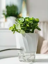 自動吸水仕様の透明プランター【観葉植物用・デザインポット・グリーン】