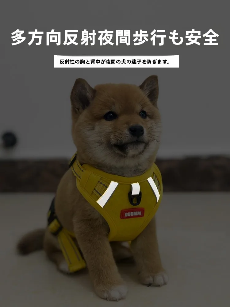犬のお散歩グッズをコスパ良く揃える方法　完全ガイド