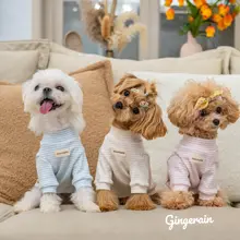 GINGERAIN 小型犬用オーガニックコットンストライプセーター【保温・アレルギー対応・4色展開】