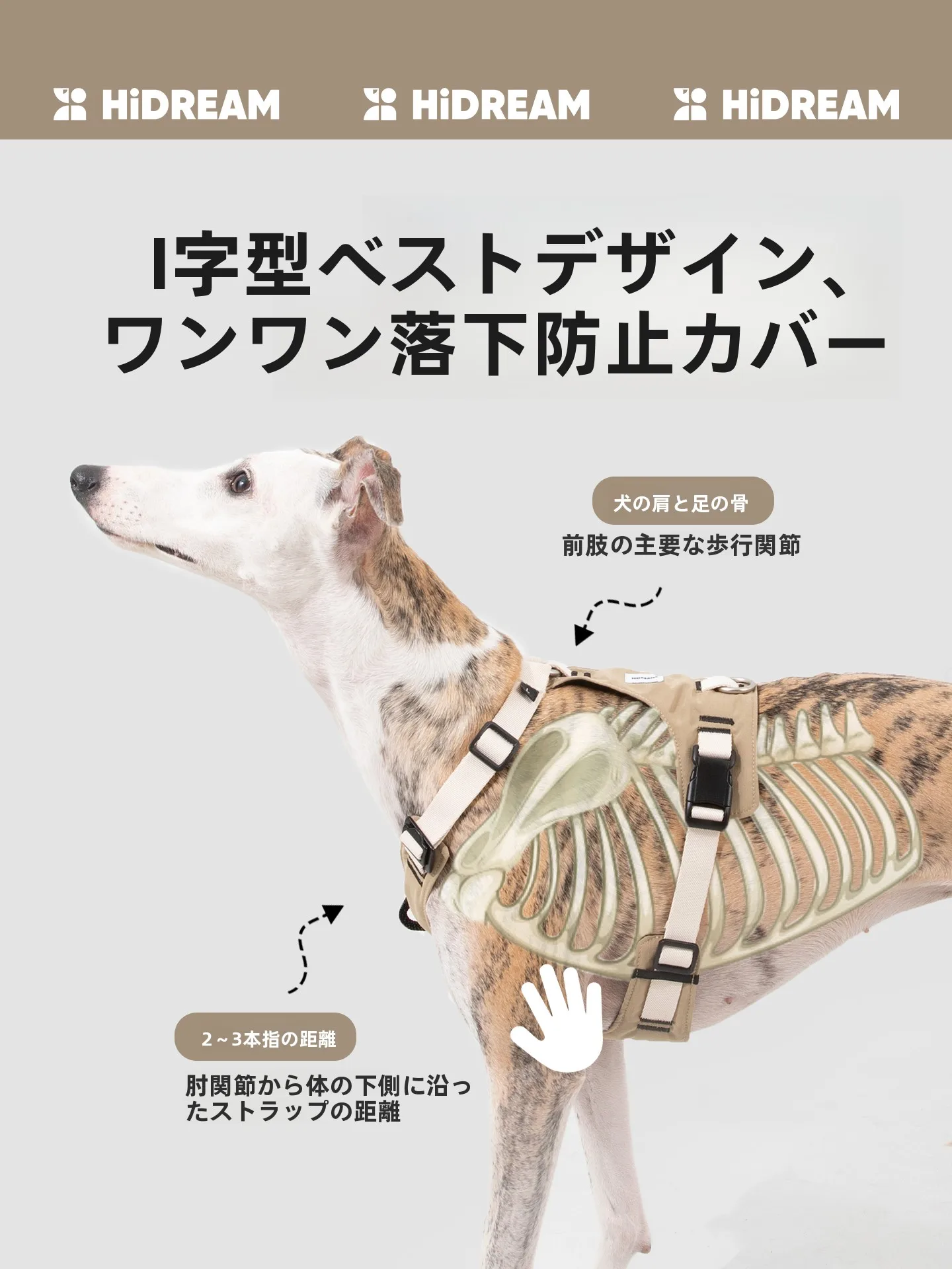 犬のお散歩グッズをコスパ良く揃える方法｜胸部サポートハーネスで散歩の質を徹底解説
