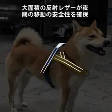 防爆設計の中小型犬用リード【柴犬・ビションフリーゼ対応・無駄な脱走防止】