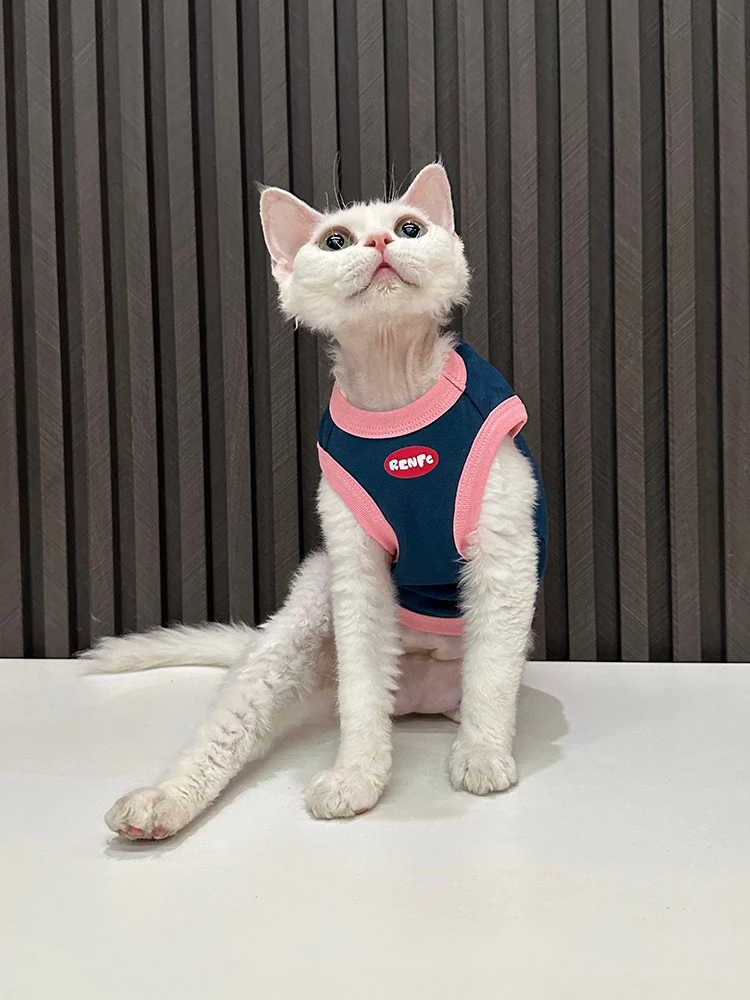 猫に着せたい服は、本当に必要なの？純綿のスフィンクス用タンクトップが話題になる理由