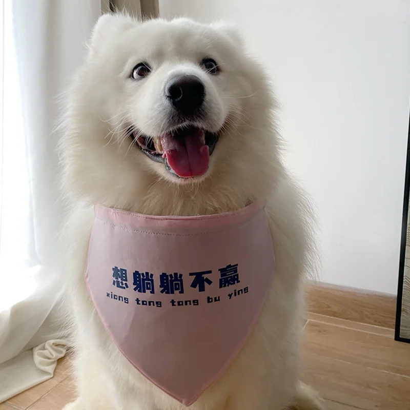 愛犬用ピンク三角巾：飲水用に最適なサモエド・ラブラドール向けの実用性を検証