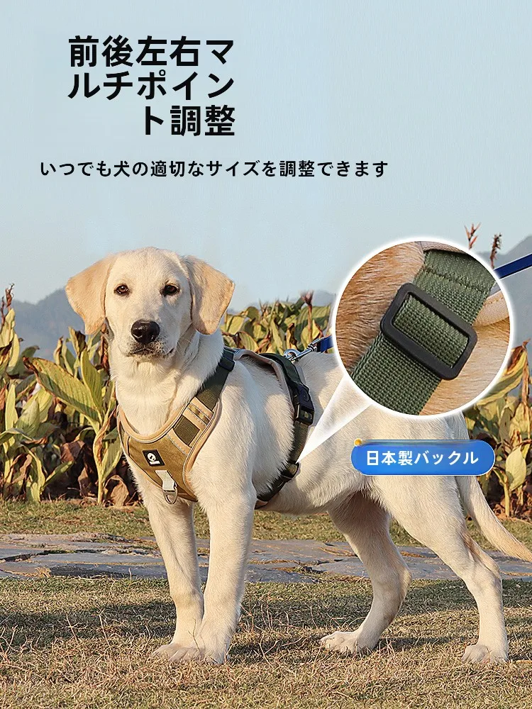 犬のお散歩グッズをコスパ良く揃える方法　ハーネス型リードの選び方徹底解説