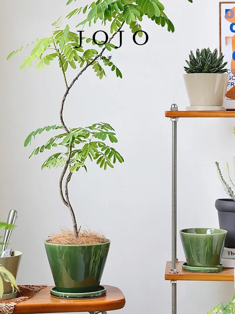 ほうれん草 プランターでインテリアを彩る：陶器製苔球風グラデーション花盆の実用性と環境適応性