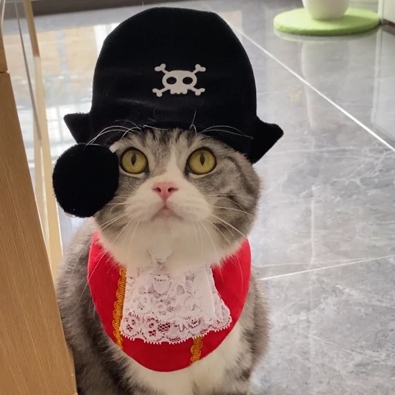 ハッピーキャットと黒マスク：ハロウィン用猫用海賊帽とアイマスクの実用性と適用シーン