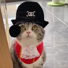 ペットコスプレ 猫用 3点セット 海賊風 帽子 アイパッチ バンダナ ハロウィン 撮影用小物 ユニーク
