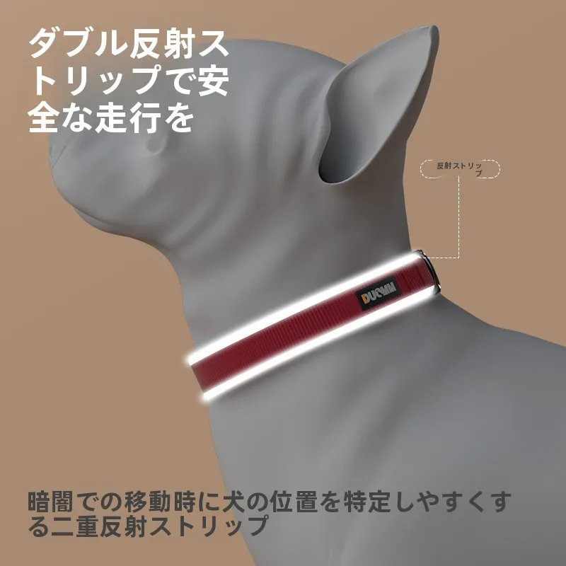 犬のお散歩グッズをコスパ良く揃える方法｜反射素材首輪の 安全と実用性徹底解説